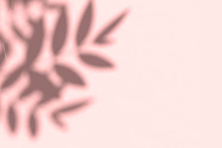 Creative copyspace with shadows on a shiny soft pink wall. Top view of leaves shadows on the pink background. Flat lay style. Minimal summer concept with tree leafの写真素材