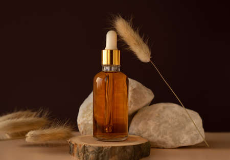 Transparent glass cosmetic dropper standing on wooden podium near stones and dry flowers on dark beige background. Beauty composition. Concept of natural and original skincare products presentation.の写真素材