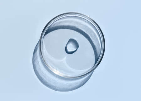 Laboratory glass petri dish with drop of water, serum, oil, beauty product. Natural medicine, cosmetic research, bio science. Concept of skincare and analysis. Dermatology. Flat lay, top viewの写真素材