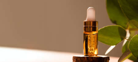 Cosmetic glass dropper bottle on wooden podium with oil, serum or fruit peeling in the sunlight. Green eucalyptus, soft focus. Beauty product presentation, natural background. Front. Mockup conceptの写真素材