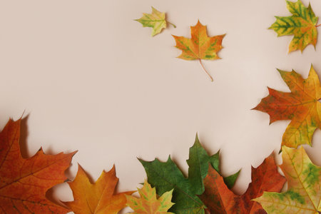Frame of colorful red and yellow autumn leaves with cones and rowan berries on trendy beige...