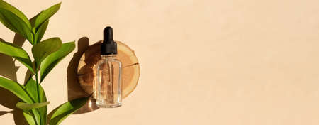 Transparent glass dropper bottle with serum, oil, hyaluron on a woodcut in the sunlight with ruscus flower in soft focus. Flat lay. Natural cosmetics presentation. Testers, beauty samples perfumery.の写真素材