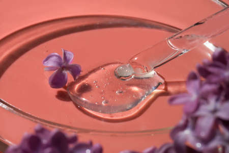Closeup of pipette with serum, oil, gel with lilac flowers in Petri dish. Skin care, natural beauty...