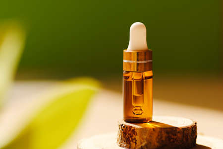 Cosmetic amber glass dropper bottle on wooden podium with oil, serum or fruit peeling in the sunlight. Green ruscus, soft focus. Beauty product presentation, natural background. Front. Mockup conceptの写真素材