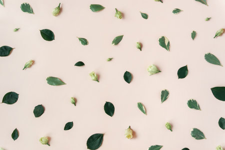 Abstract trendy pastel beige background with flower buds, leaves, petals. Natural floral texture. Pattern backdrop with flowers. Beauty layout. Summer, aroma water conceptの写真素材