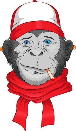 monkey head cartoonのイラスト素材