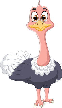 cute ostrich cartoon isolated on white backgroundのイラスト素材