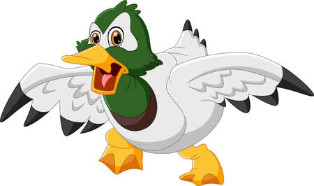 cute duck cartoon on white backgroundのイラスト素材