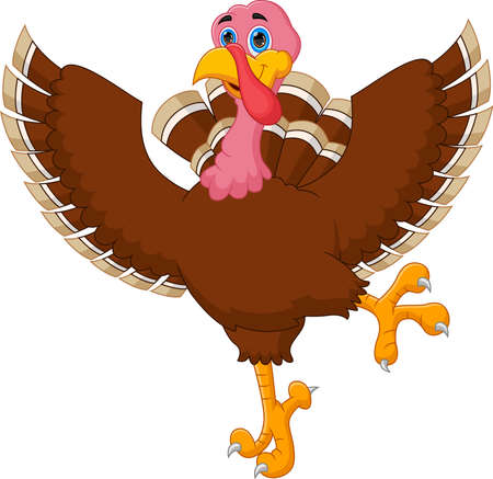 funny turkey cartoon on white backgroundのイラスト素材
