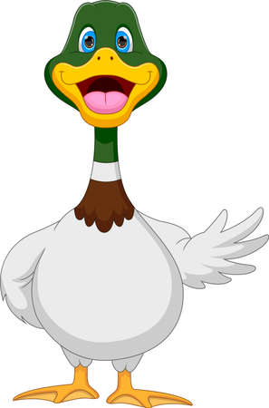 cartoon cute duck waving on white backgroundのイラスト素材
