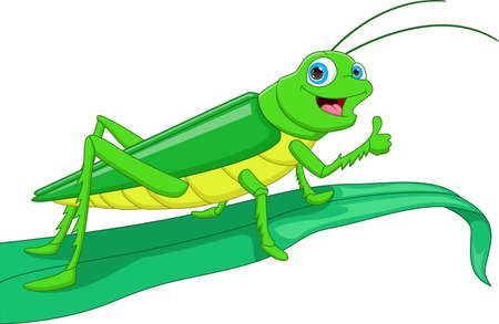cute cartoon grasshopper thumbs upのイラスト素材