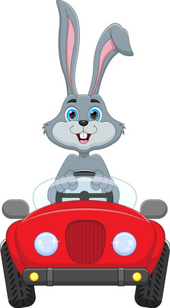 cartoon funny rabbit driving a carのイラスト素材