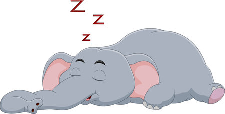 cute baby elephant sleepingのイラスト素材