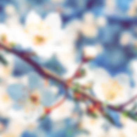 Abstract blurred image of spring time as a background for your designの写真素材