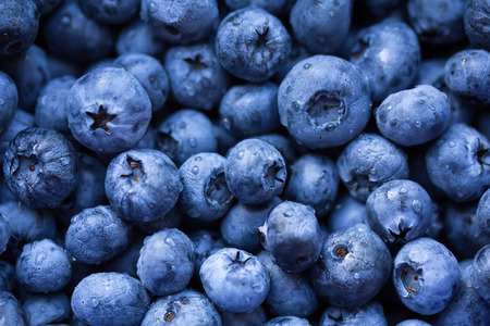 Fresh ripe bilberry berries as a background