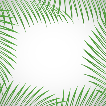 Vector illustration of palm tree leaves over white background for your designのイラスト素材
