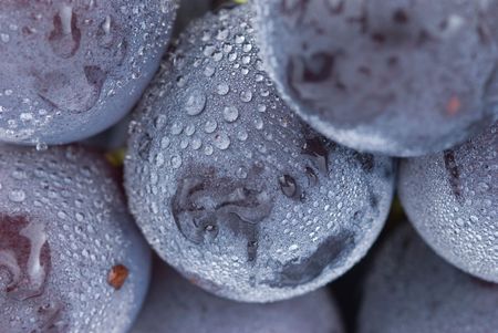 Fresh grapes with drops, delicious fruit.
