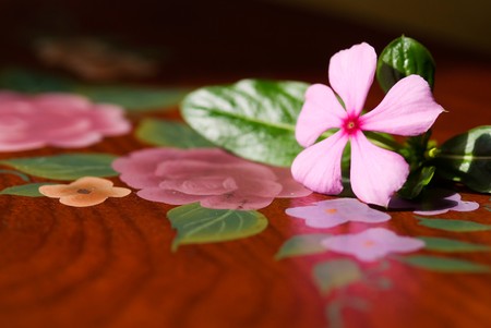 Single purple flower on colored drawing table.の写真素材