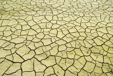 Drought land was cracked. The lake is drying. 