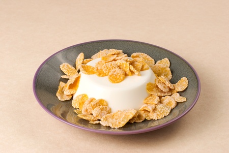 White milk pudding with sweet crisp, panna-cotta