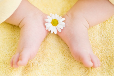 Lovely infant foot with little white daisyの写真素材