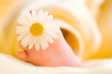 Lovely infant foot with little white daisy on it. The baby is three months old.の写真素材
