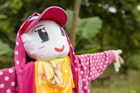 A cute scarecrow is wearing pink jacket and hatの写真素材