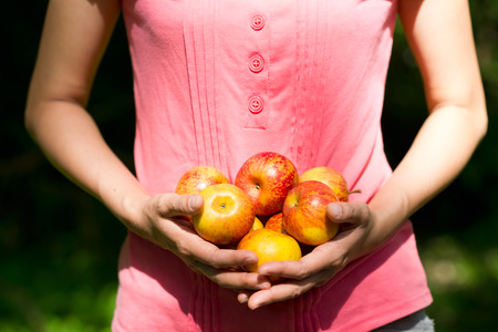 Woman is holding fresh apples in both hands under sunshine.の写真素材