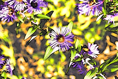 wildflower gardenの写真素材