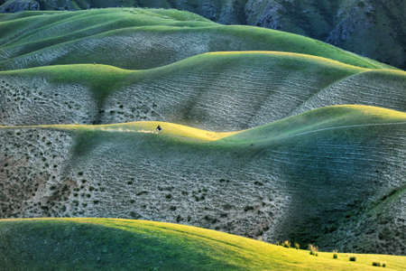 The herd of horses were roaming on the Mongolian Plateau.の写真素材