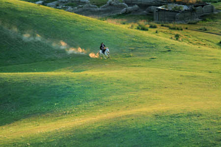 The herd of horses were roaming on the Mongolian Plateau.の写真素材