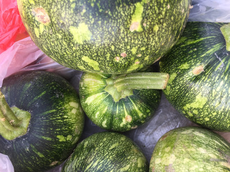 Fresh zucchini for sale in the market. Green zucchiniの写真素材