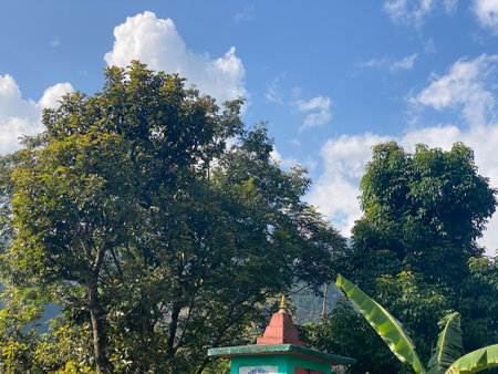 green tree and blue sky with white clouds in the morning at Ranong, Thailandの写真素材