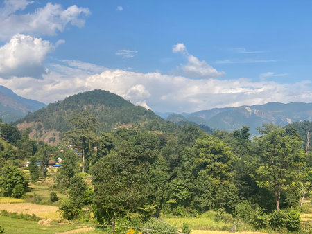 Beautiful landscape view of green rice field and mountain with blue sky.の写真素材