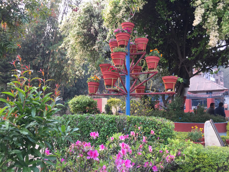Flower pots in the garden of the Chinese temple, Hong Kongの写真素材