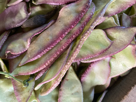Purple bean pods in a box, close-up, background