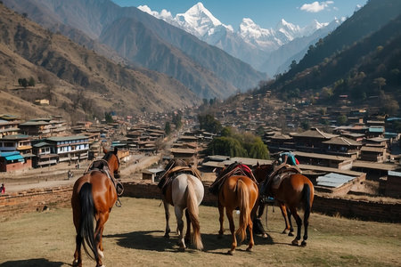 Horses and mountains in Himalayas, Annapurna Circuit, Nepalの写真素材