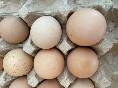 Eggs in a carton box. Close-up.