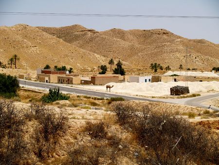 The lonely African camel costs on a leash at road against small settlement.の写真素材
