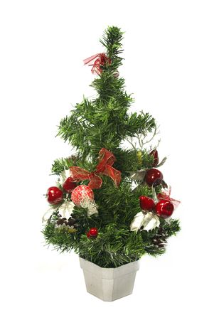 Small Christmas tree on whiteの写真素材