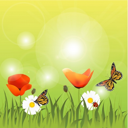 Butterflies and ladybirs on a dausy and poppies meadowのイラスト素材