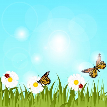 Butterflies and ladybirs on a dausy and poppies meadowのイラスト素材
