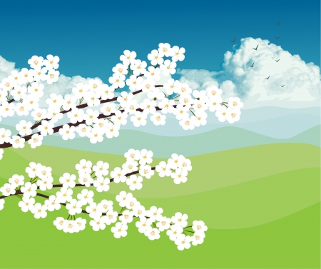 Cherry tree blossom with landscape backgroundのイラスト素材
