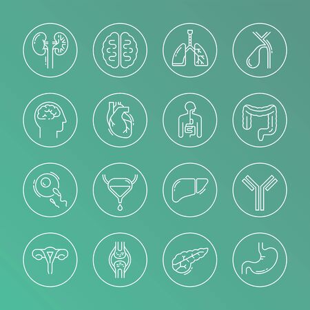 Large set of linear vector icons of human internal organs in circles. Suitable for print, web, and presentations.のイラスト素材