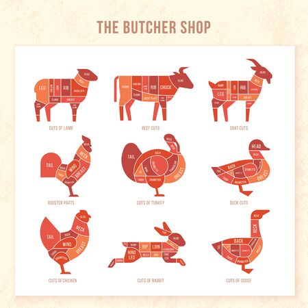Vintage restaurant meat menu template. American scheme of pork cuts, chicken cuts and beef cuts, hand-drawn vector illustration.のイラスト素材