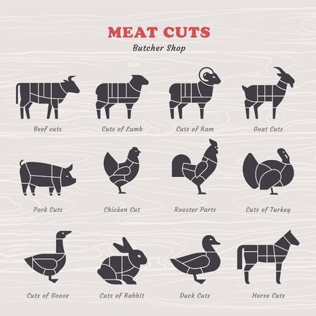 Diagram Guide for Cutting Meat in Vintage Style. Vintage restaurant meat menu template. American scheme of pork cuts, chicken cuts and beef cuts, hand-drawn vector illustration.のイラスト素材