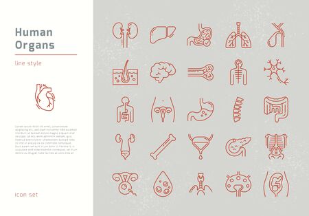 Large set of linear vector icons of human internal organs with signatures. Suitable for print, web and presentations.のイラスト素材