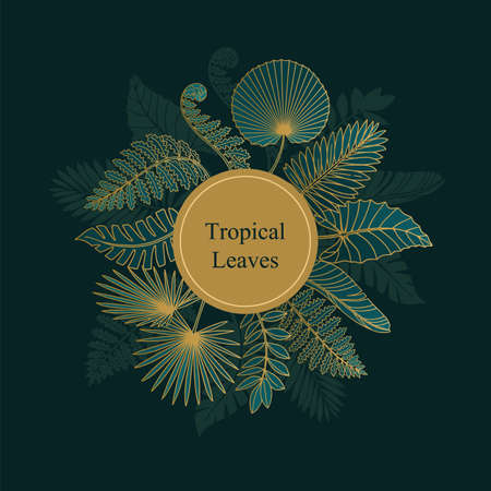 Vector round banner with tropical leaves on a dark background. Exotic botanical design for cosmetics, spa, perfume, beauty.のイラスト素材