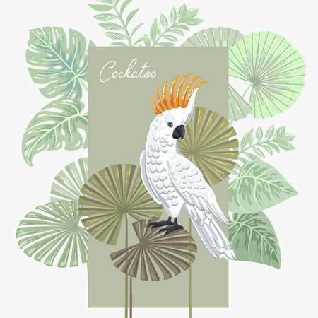 Cockatoo on the leaves of tropical plants. Exotic flower decoration. Vector parrot. Isolated illustration on a white background.のイラスト素材