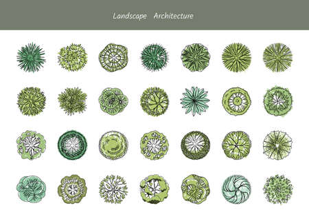 A set of diverse tree species from above for park plans and infographics. Landscape Architecture. Vector illustrationの写真素材